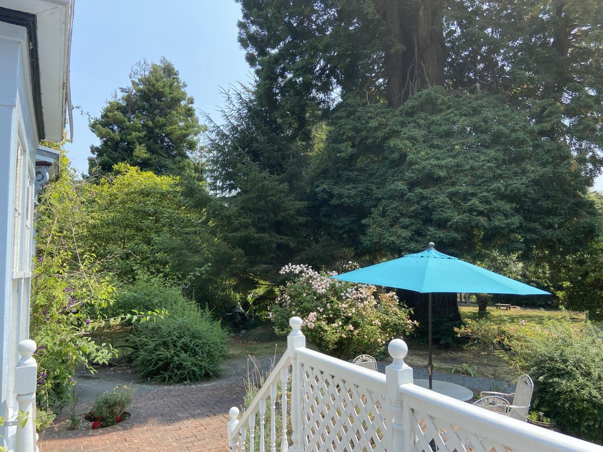 Shaw House Inn Ferndale Εξωτερικό φωτογραφία